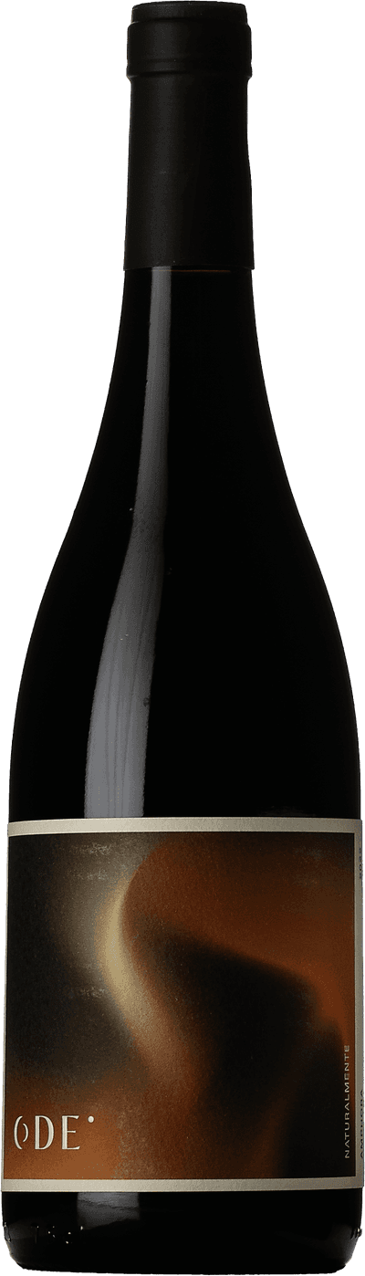 Ode Amphora 2022