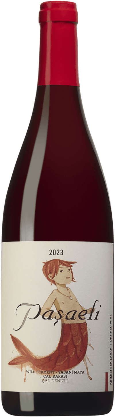 Pasaeli Merman Wild Fermented Cal Karasi 2023