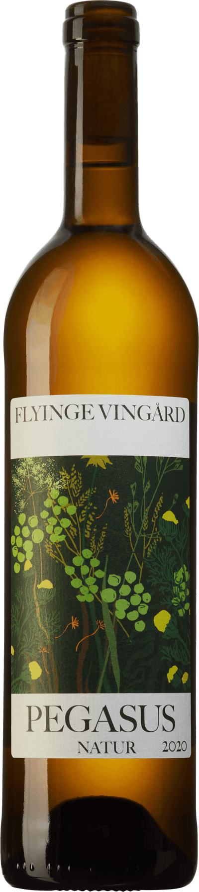 Pegasus Natur Flyinge Vingård 2020