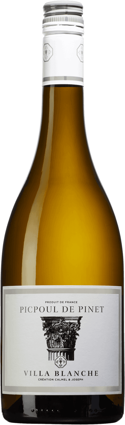 Picpoul de Pinet Villa Blanche 2023