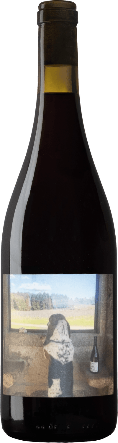 Quinta da Pellada Quinta de Saes Tobias Tinto 2020