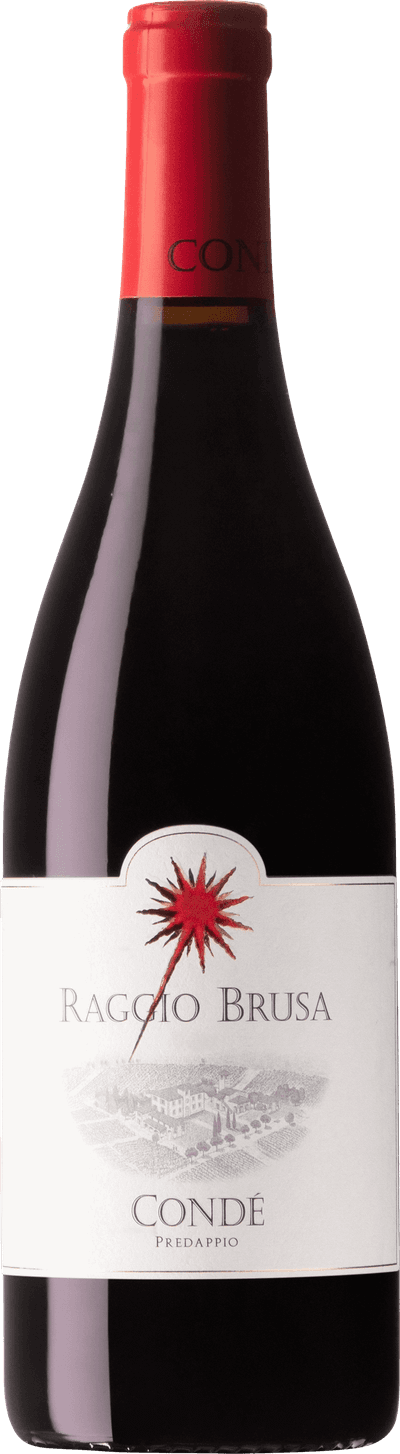 Raggio Brusa 2015