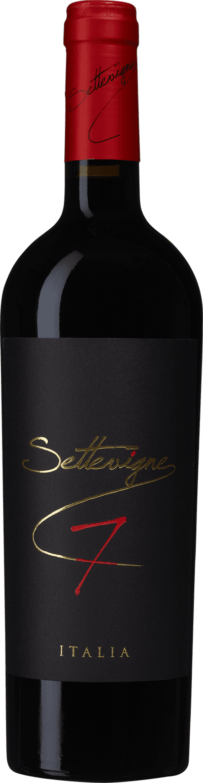 Settevigne 7 Vino Rosso 2022