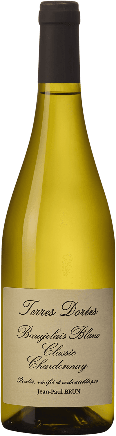 Terres Dorées Beaujolais Blanc 2024