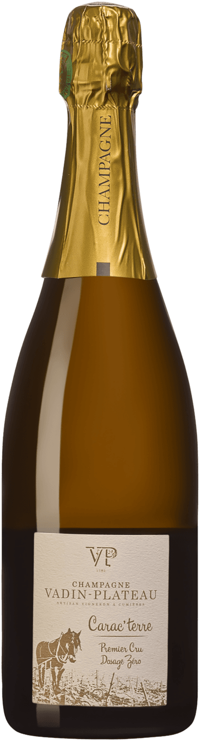 Vadin-Plateau Carac'terre Premier Cru 2019