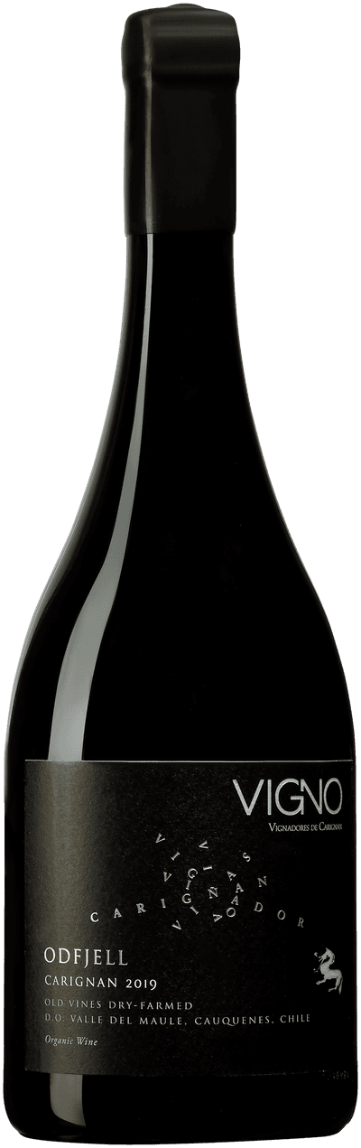 Vigno Odfjell Carignan 2019