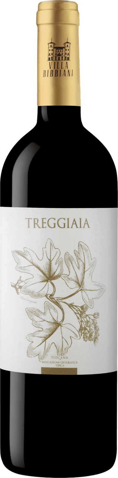 Villa Bibbiani Treggiaia 2019