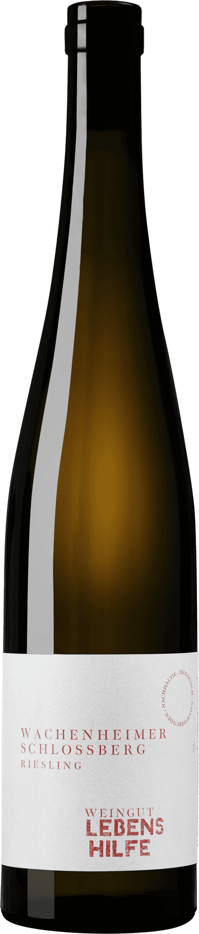 Wachenheimer Schlossberg Riesling Trocken 2022