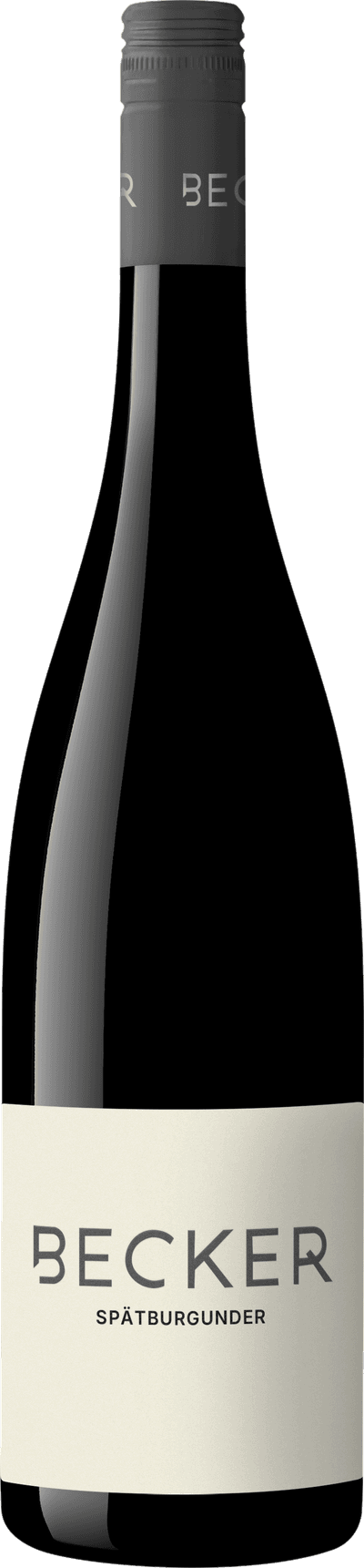 Weingut Becker Becker Spätburgunder 2022