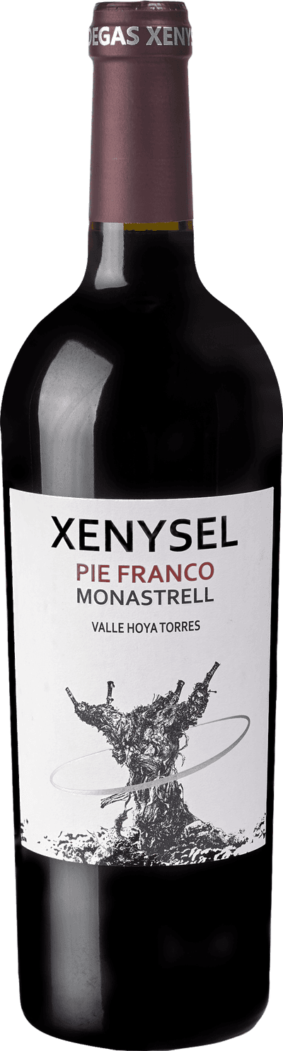 Xenysel Pie Franco 2022